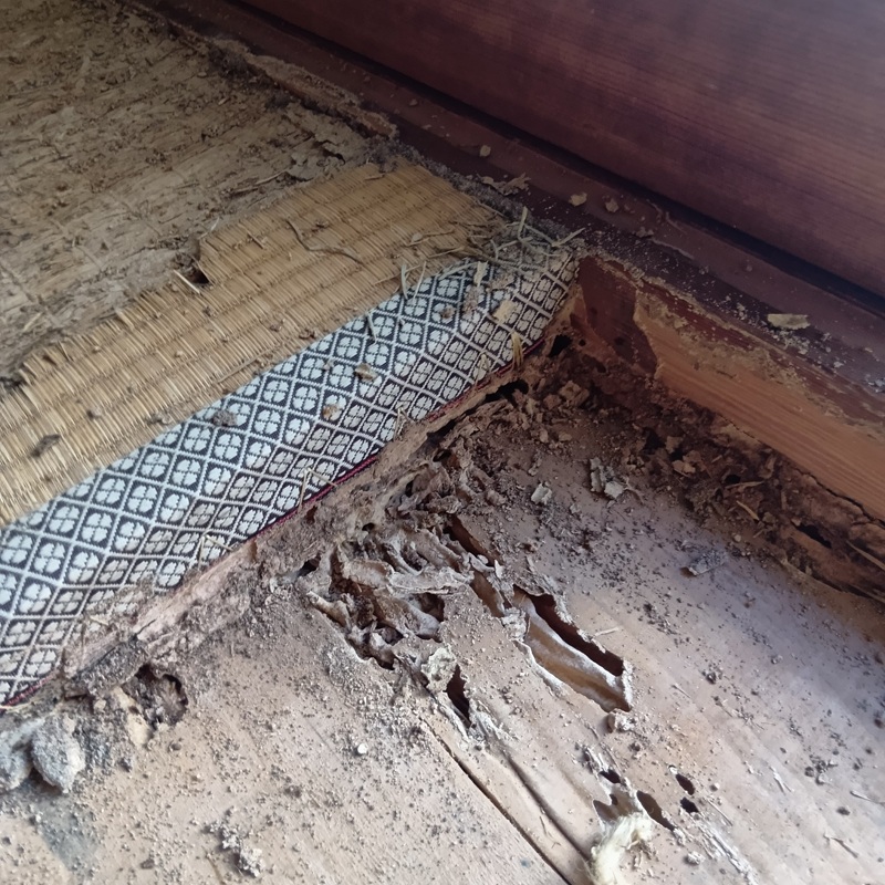 築年数50年のシロアリ駆除の施工事例（高知県土佐市宇佐町宇佐）