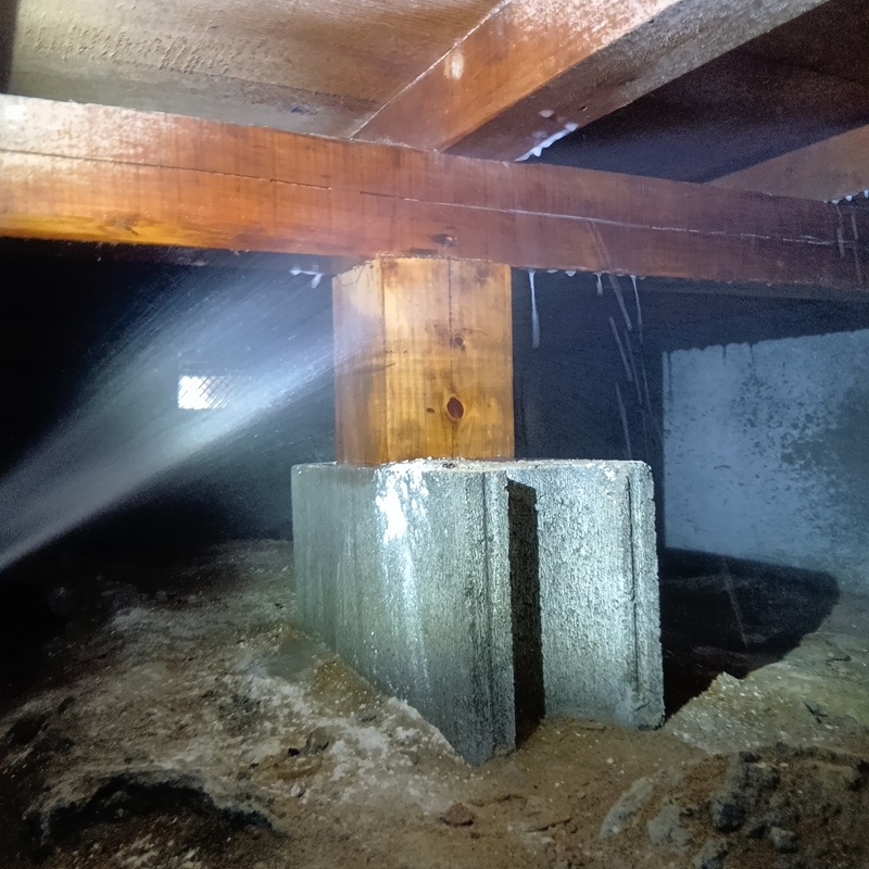 床下の木部にシロアリ駆除剤を散布