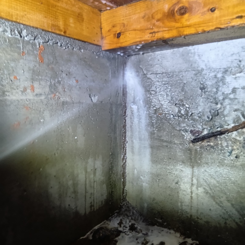 床下の壁面や地面にシロアリ駆除剤を散布