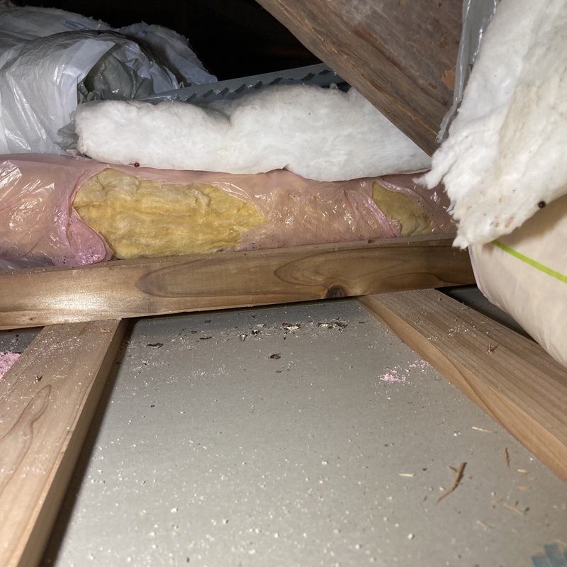 ネズミ駆除の施工事例（石川県七尾市能登島二穴町）