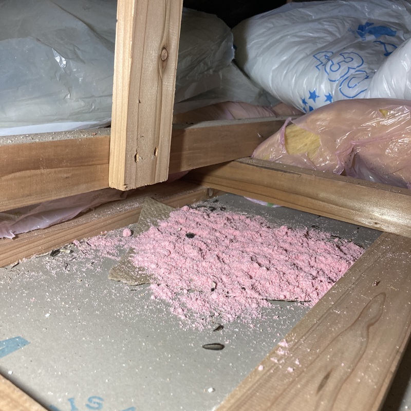屋根裏に殺鼠剤を設置した様子