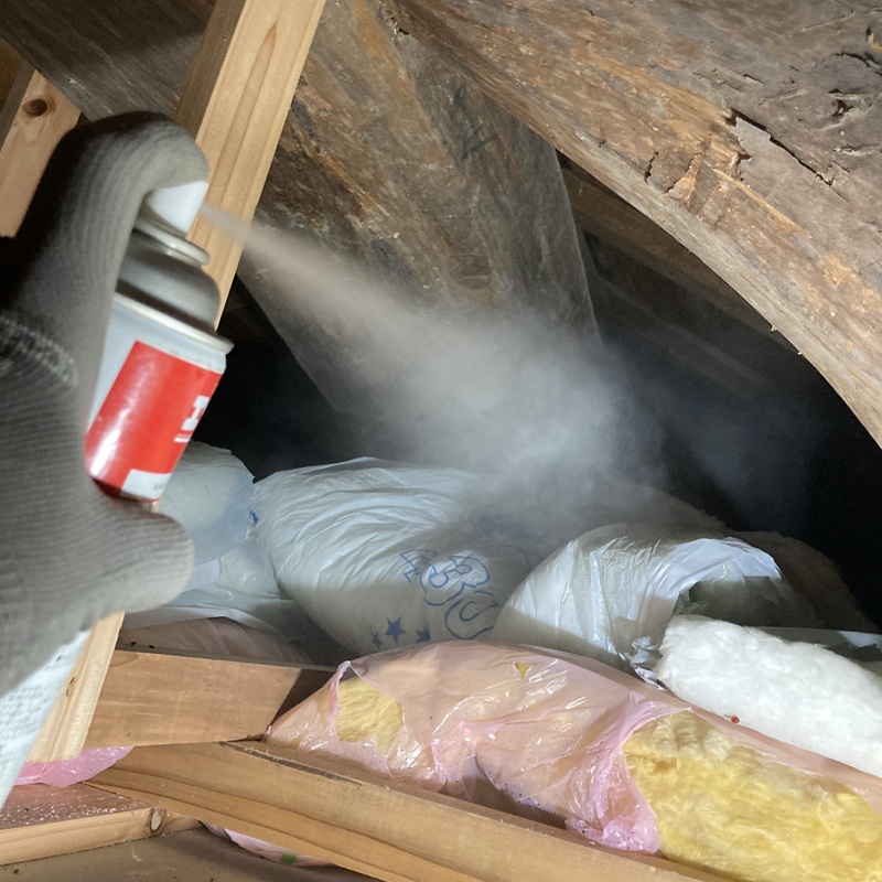 屋根裏に忌避剤を散布する様子