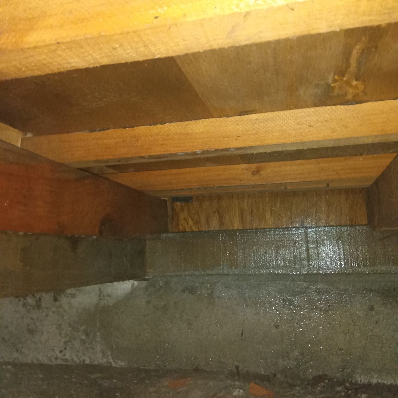 土壌処理をした床下の様子