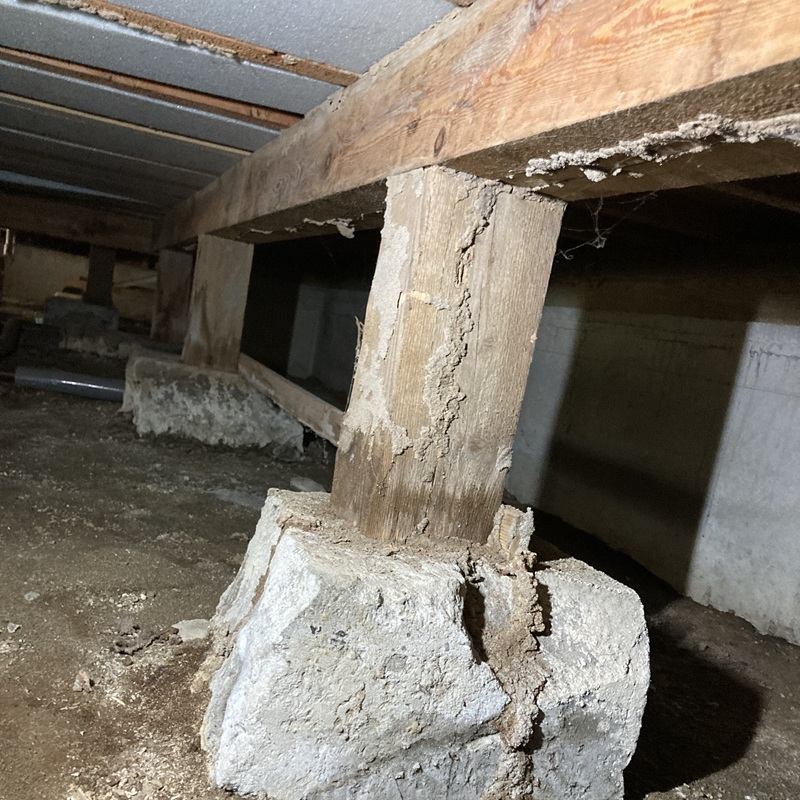 築年数30年のシロアリ駆除の施工事例（福井県坂井市坂井町蔵垣内）