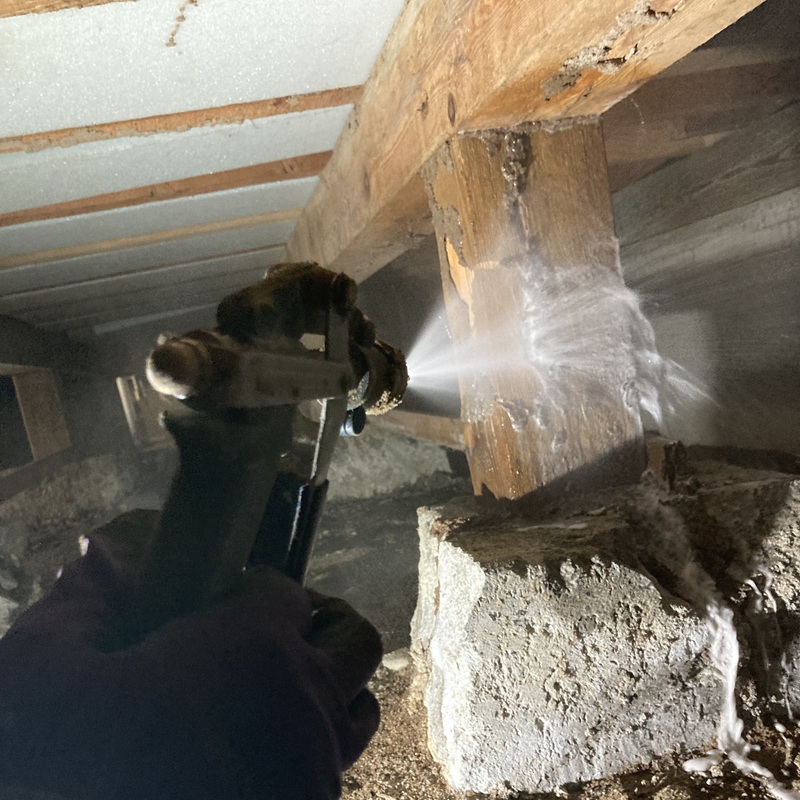 被害箇所の木材に防蟻剤を吹き付ける様子