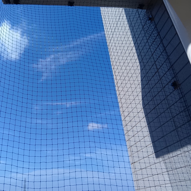 ベランダに防鳥ネットを設置した様子