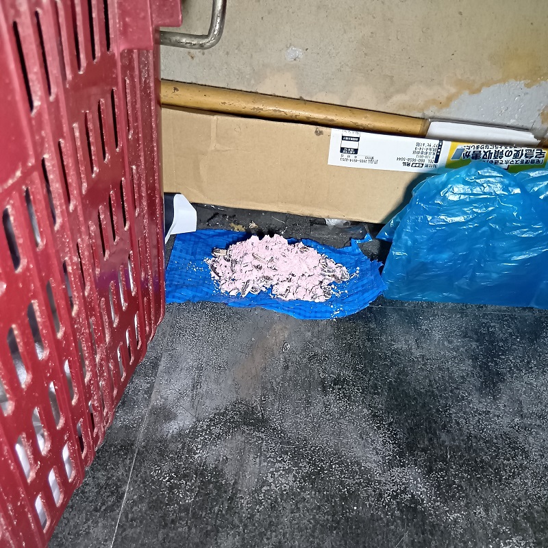 殺鼠剤を設置した様子