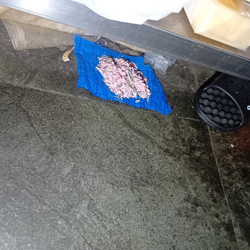 殺鼠剤を設置した様子