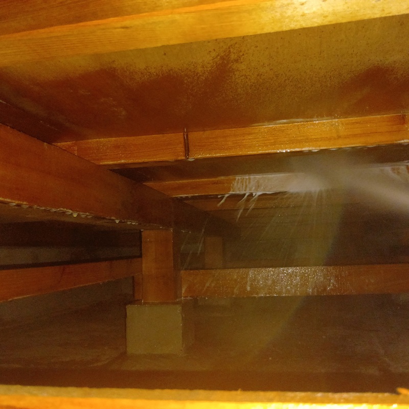 築年数32年のシロアリ駆除の施工事例（東京都荒川区南千住）