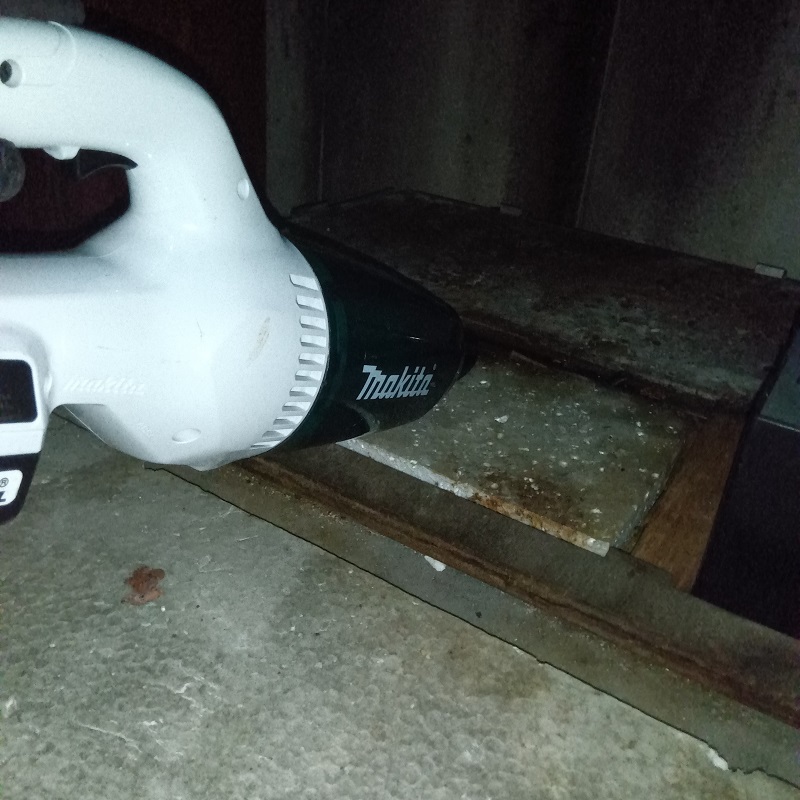 天井裏を清掃している様子