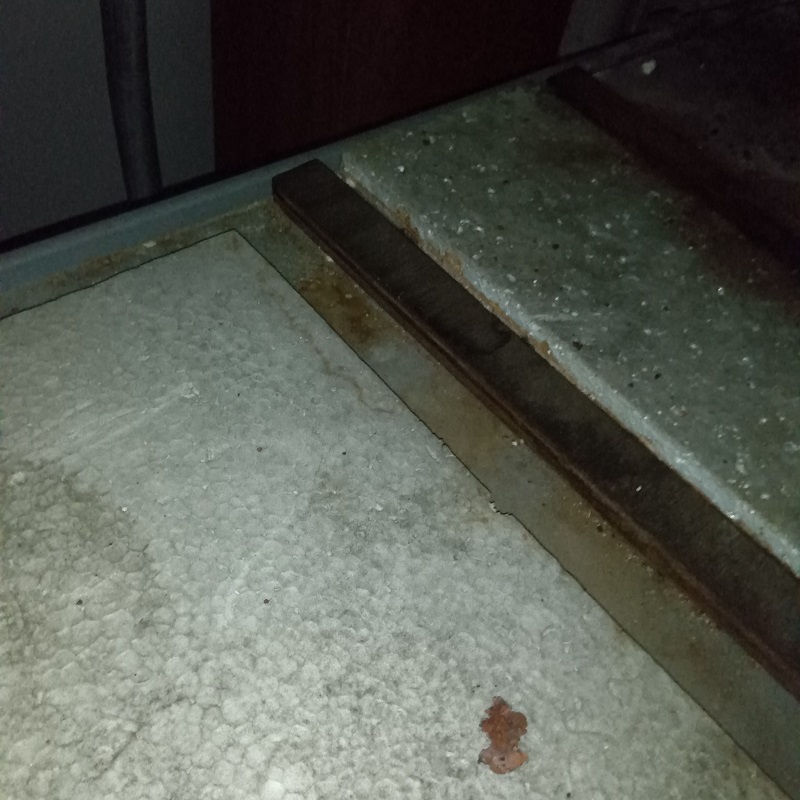 フンの清掃を完了した様子