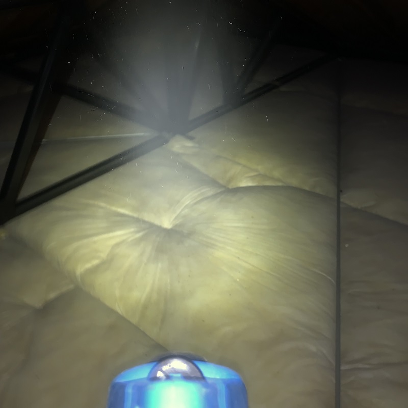 屋根裏の殺虫処理の様子