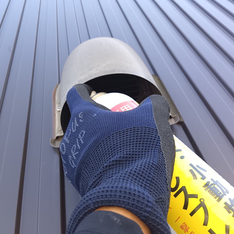 忌避剤を散布してコウモリが住宅内に残っていないか確認する様子