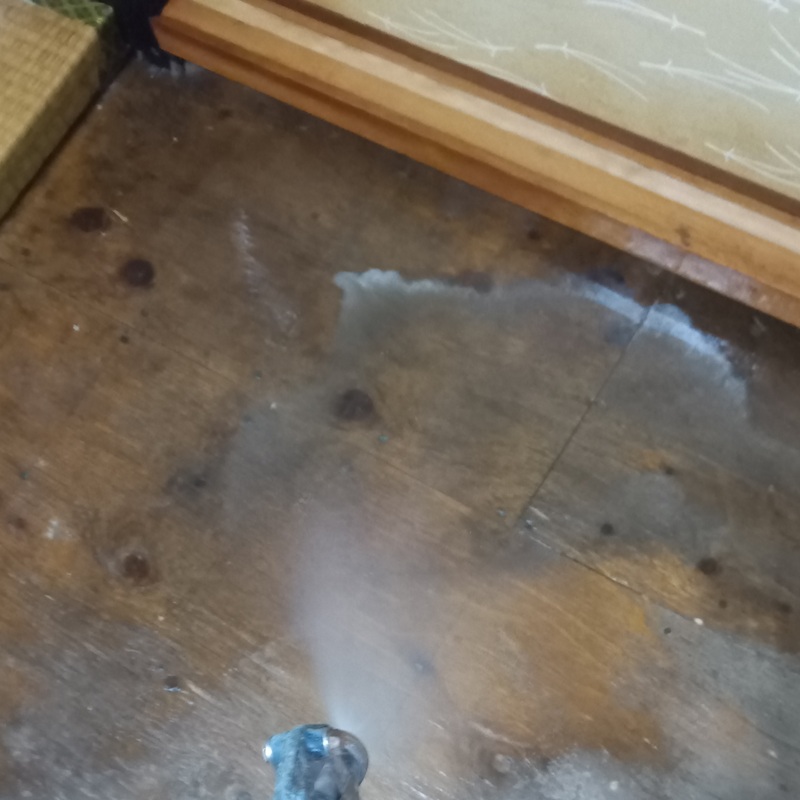 畳下の木部に防蟻剤を吹き付ける様子