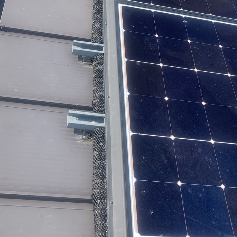 防鳥ネットを設置した様子