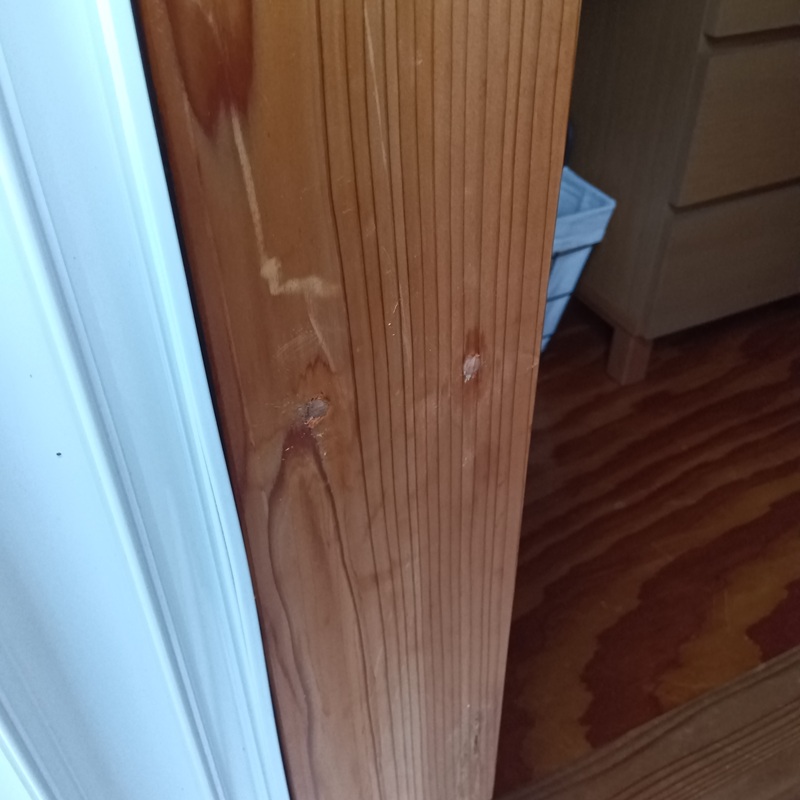 薬剤を注入した柱の穴をふさいだ様子