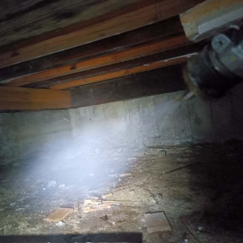 床下の土壌に防蟻剤を散布している様子