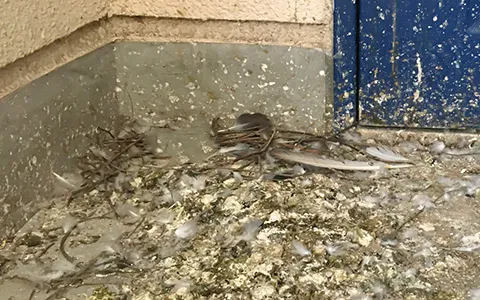 無料の現地調査