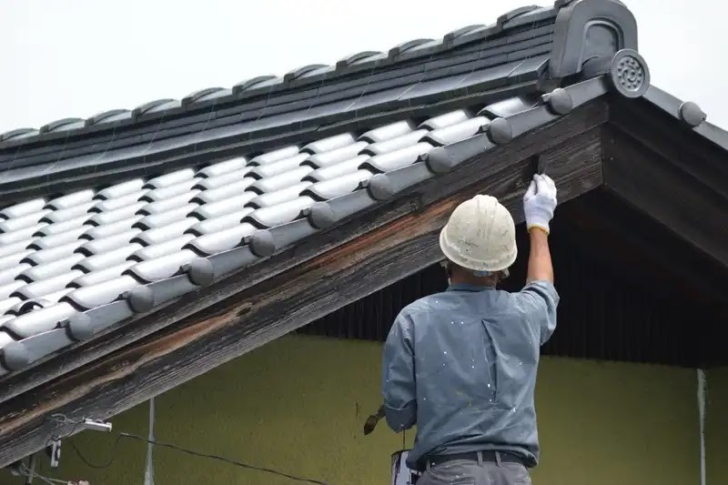 野生のイタチに悩んだらアズサポートに連絡!