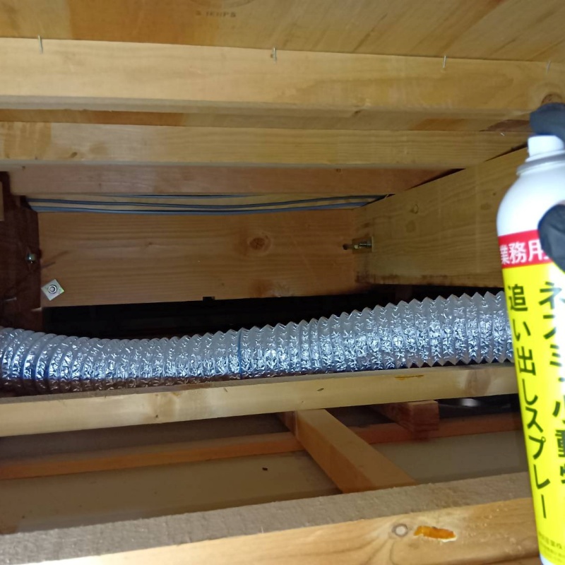 天井裏に忌避スプレーを散布