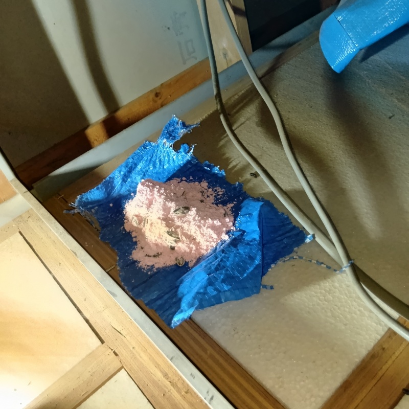 天井裏に殺鼠剤を設置