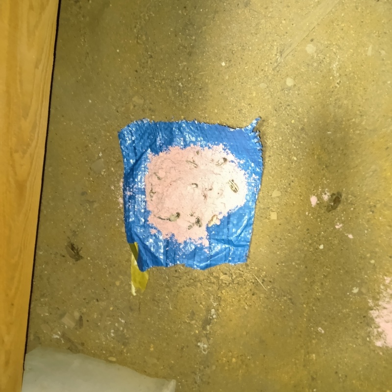 床下に殺鼠剤を設置