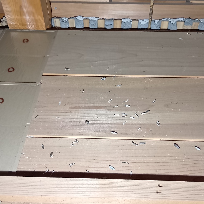 粘着シートを設置