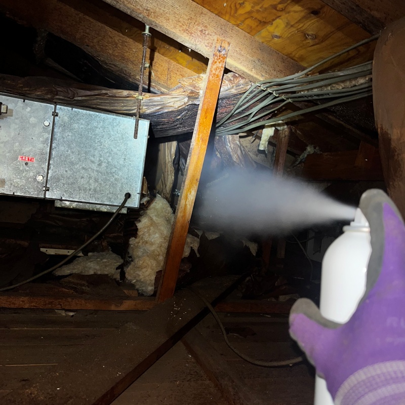 忌避スプレーを散布