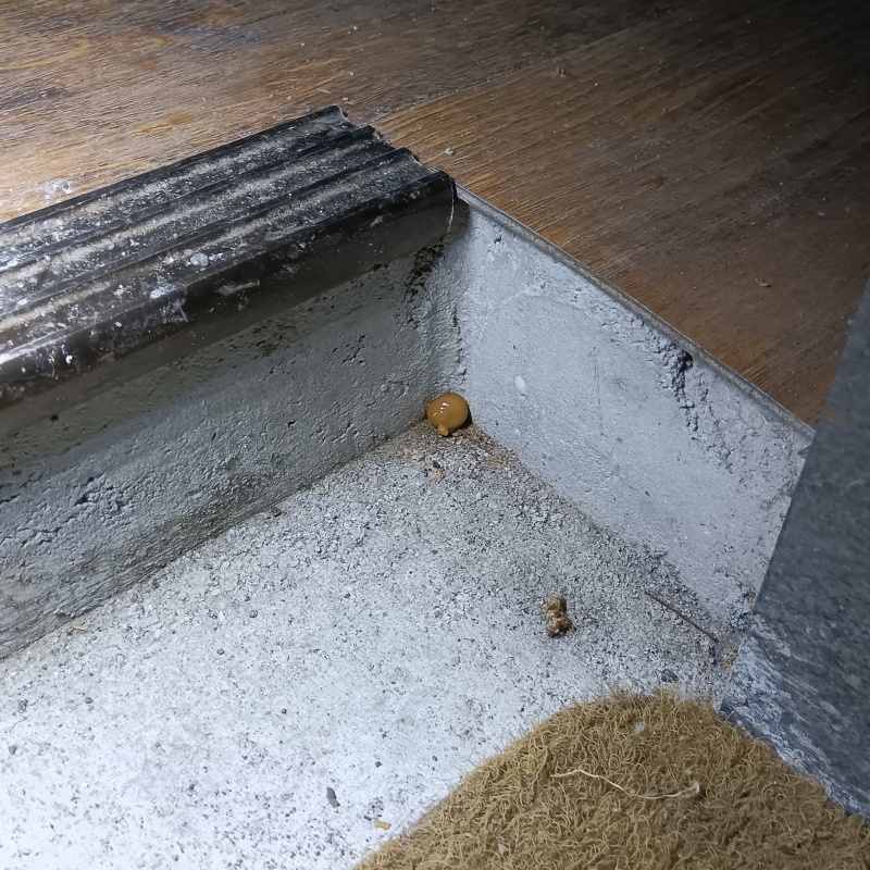 隅にベイト剤を設置