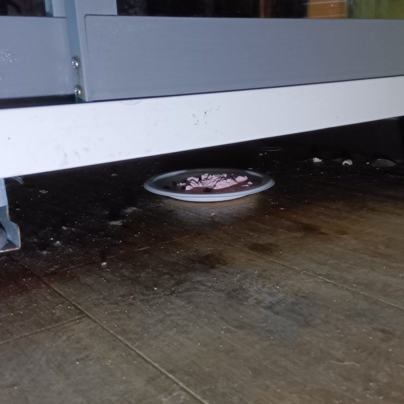 什器の下に殺鼠剤を設置