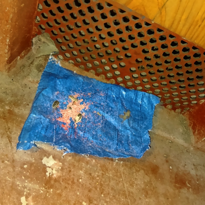 ネズミが殺鼠剤を食べたあと