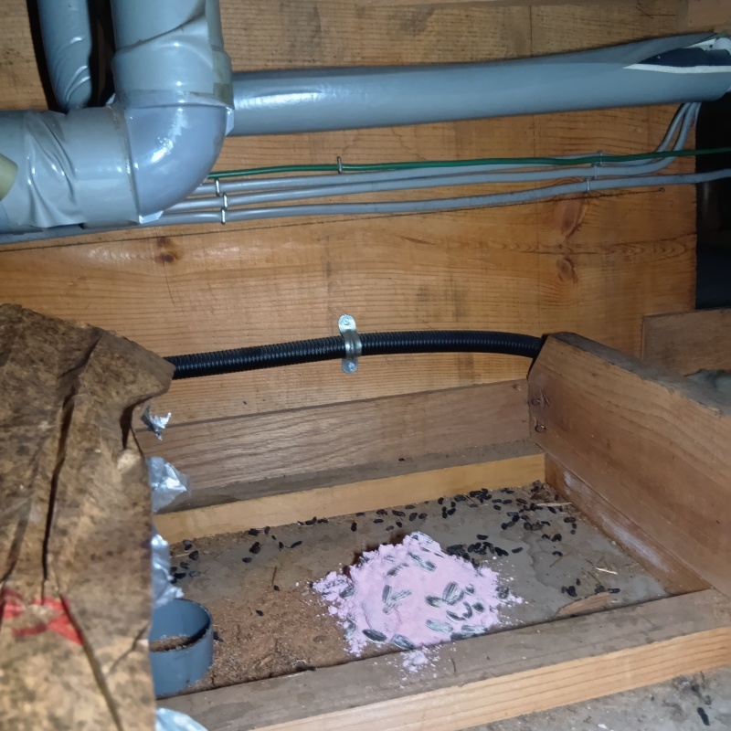 屋根裏に殺鼠剤を設置