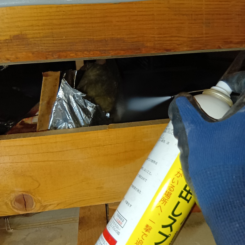 忌避スプレーを散布