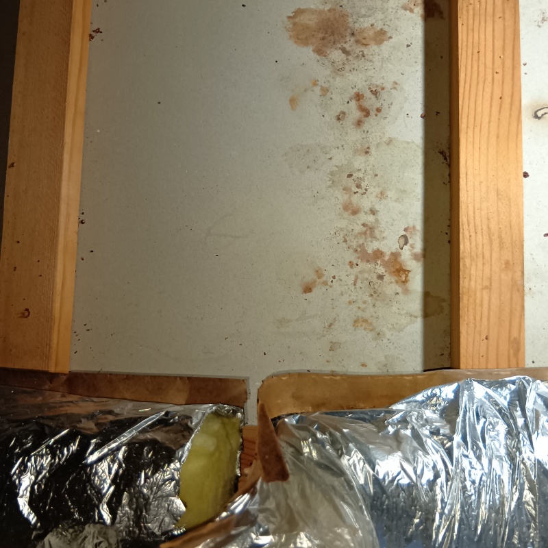 清掃が完了した様子