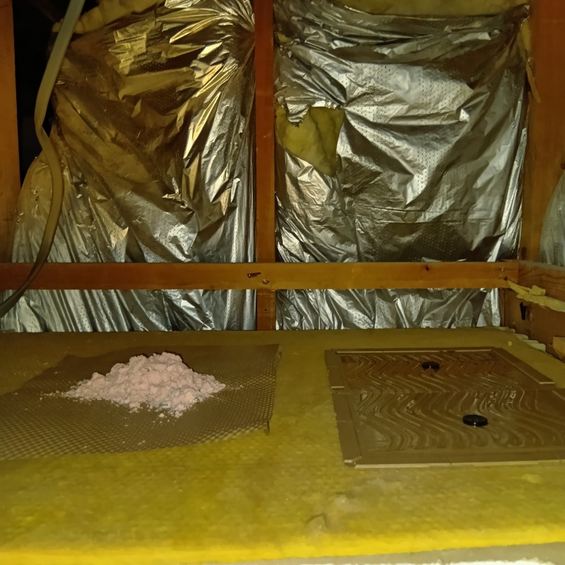 天井裏に殺鼠剤と粘着シートを設置