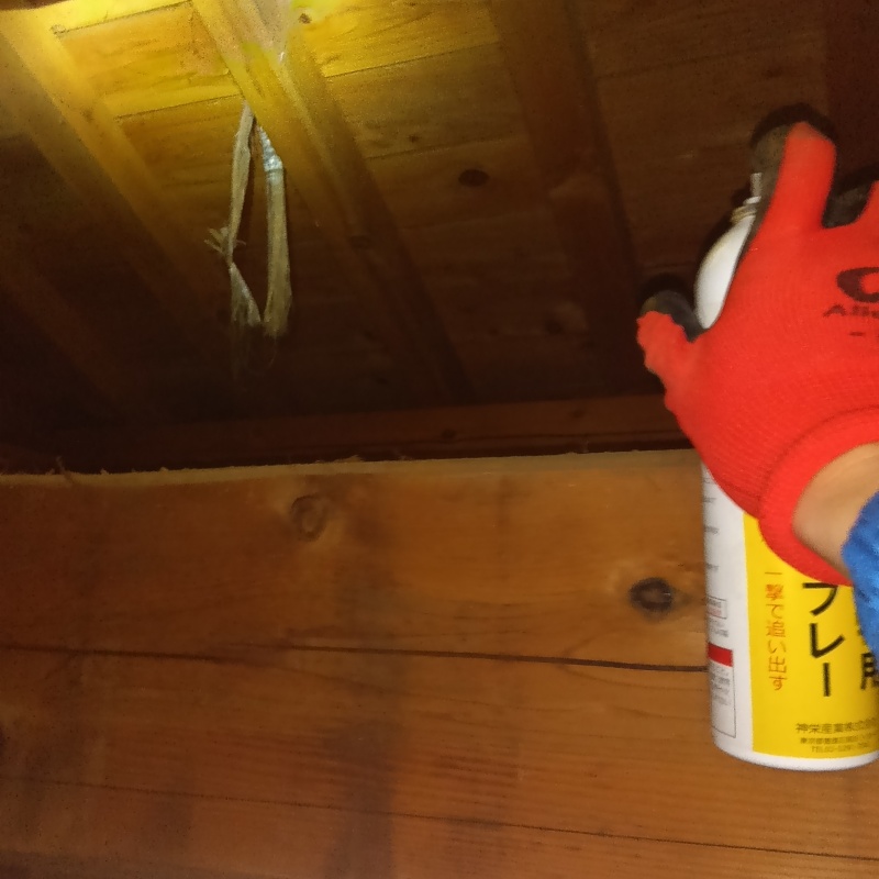 忌避スプレーを散布