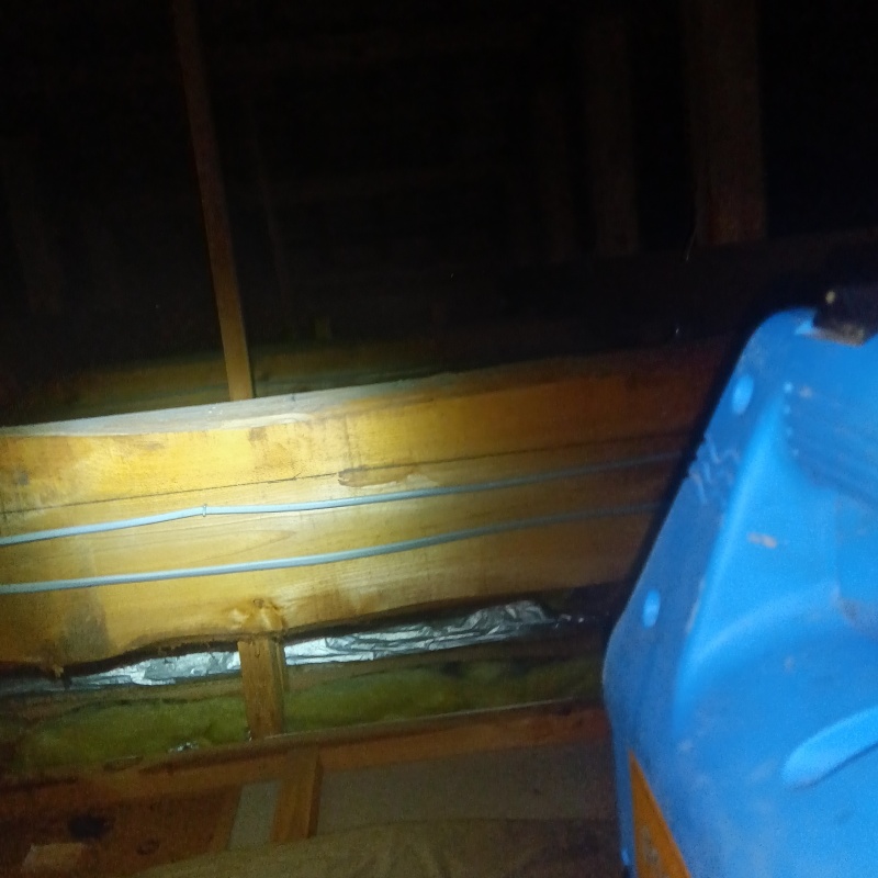 噴霧器で薬剤を散布