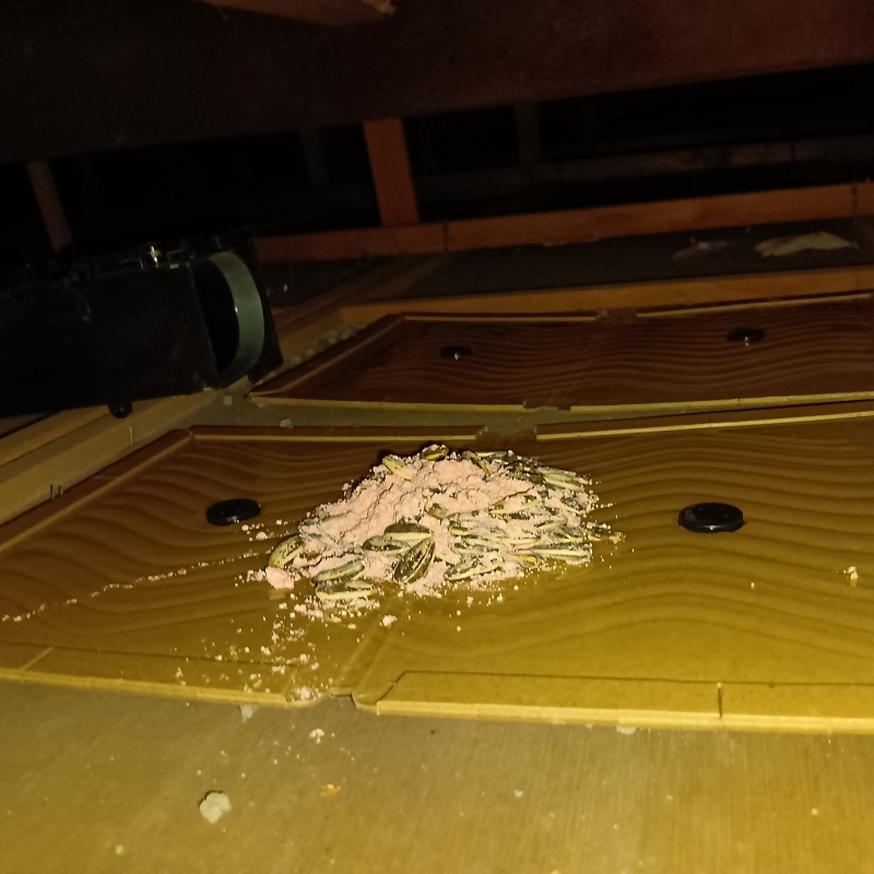 粘着シートの上に殺鼠剤を設置