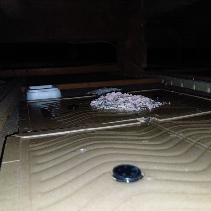 粘着シートの上に殺鼠剤を設置