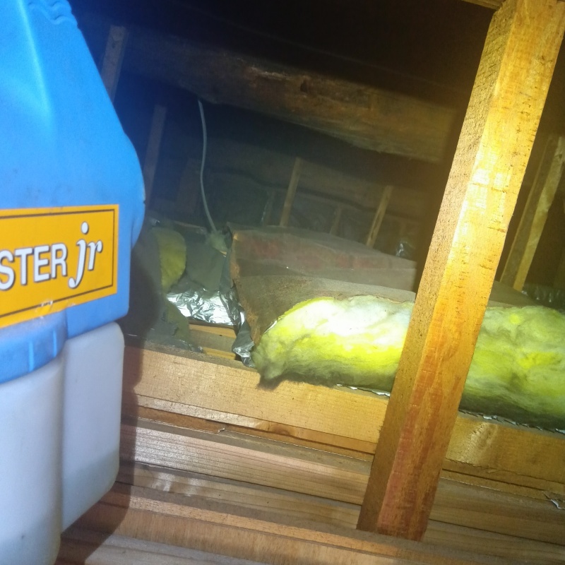 噴霧器で薬剤を散布