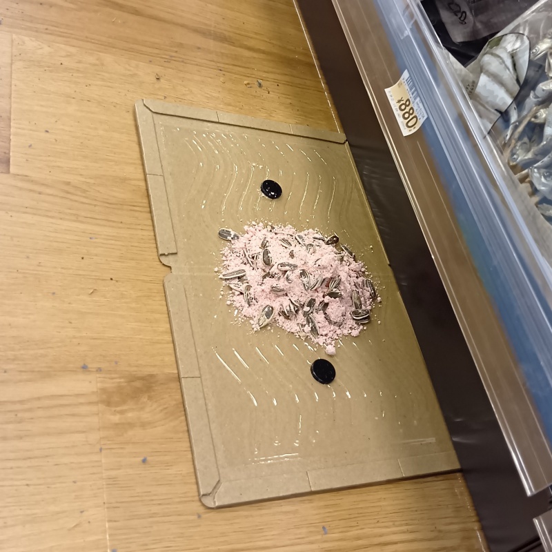 店舗の床に殺鼠剤を盛った粘着シートを設置