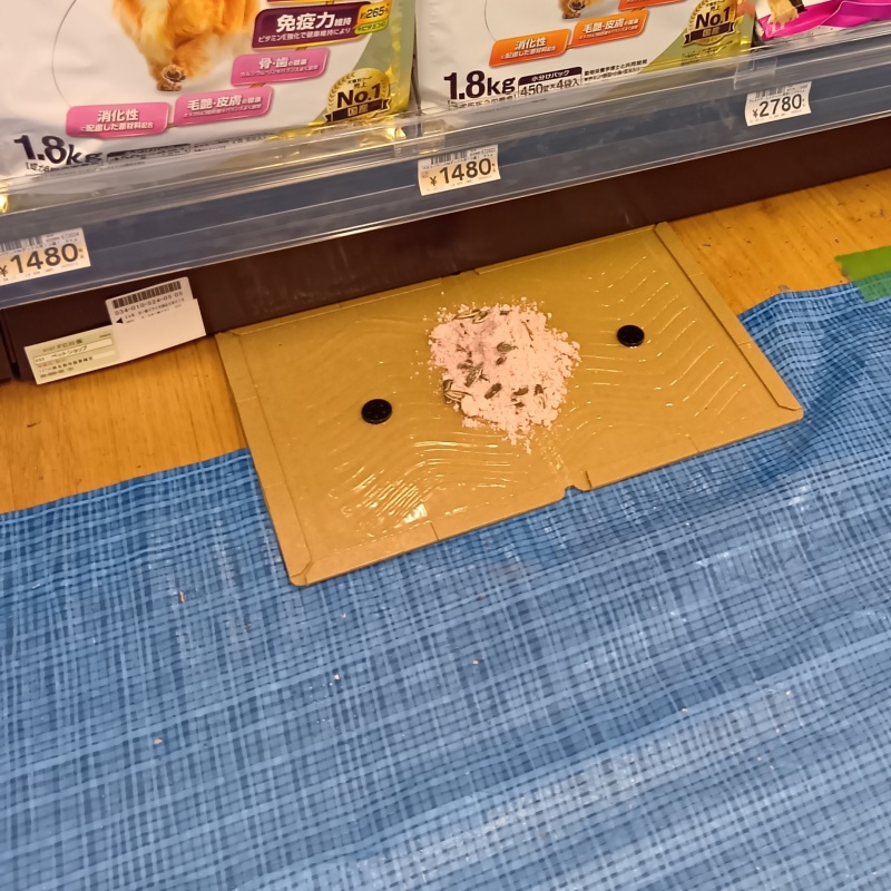 店舗の床に殺鼠剤を盛った粘着シートを設置