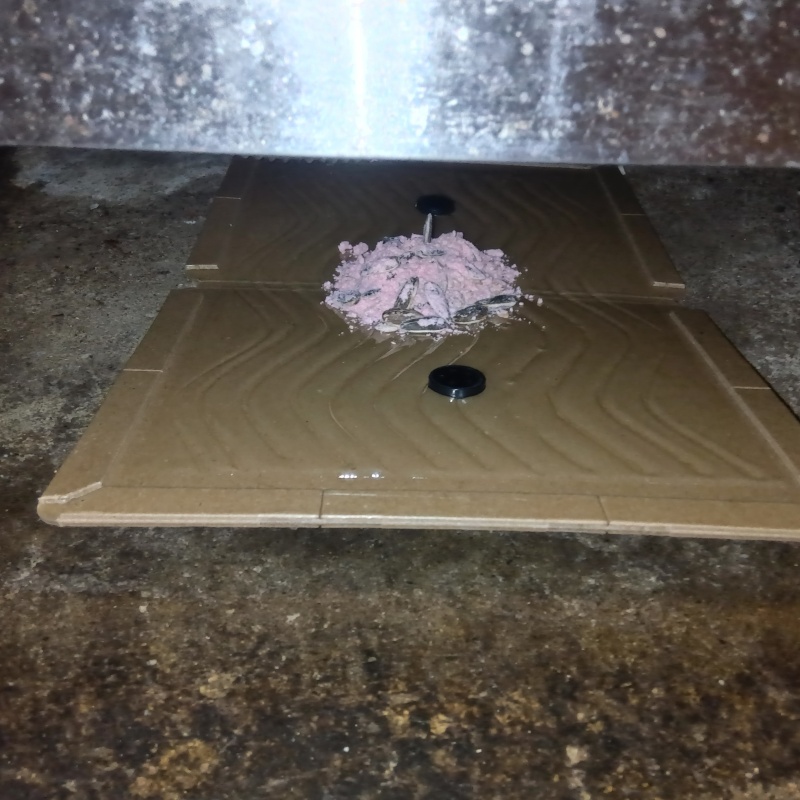 粘着シートの上に殺鼠剤を設置