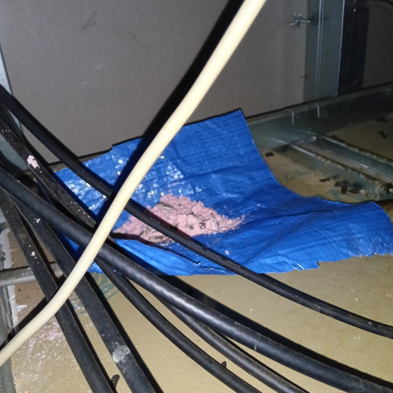 天井裏に殺鼠剤を設置