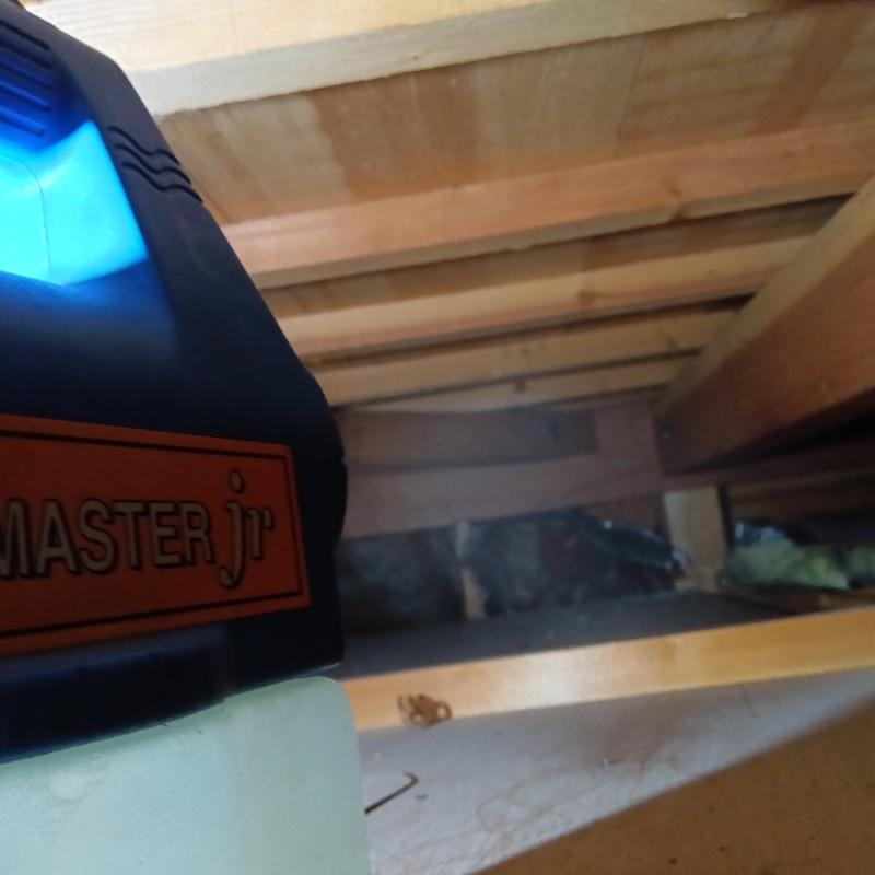 噴霧器で薬剤を散布