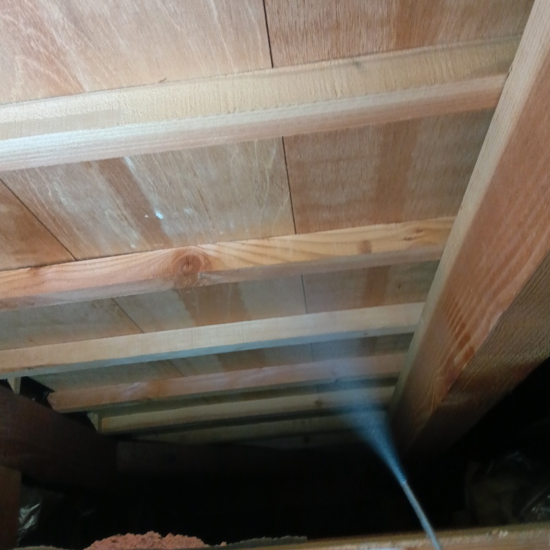 天井に除菌剤を散布