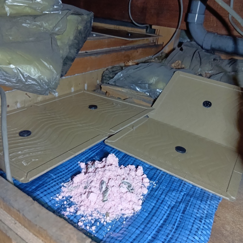 殺鼠剤と粘着シートを設置