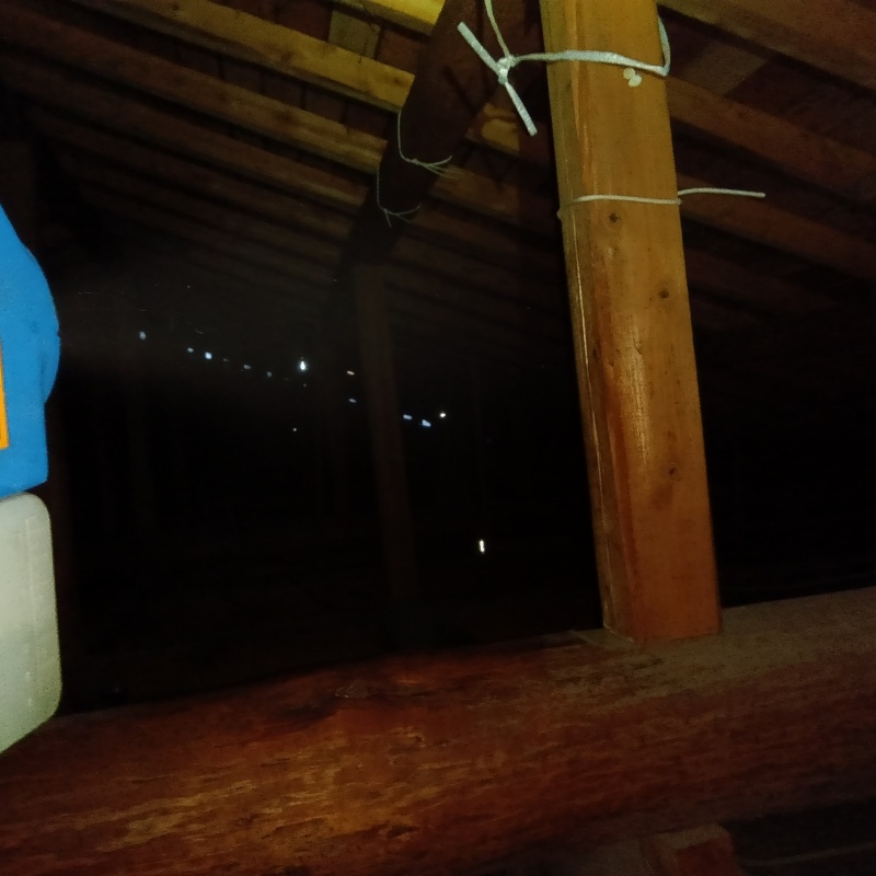 噴霧器で除菌・消臭剤を散布