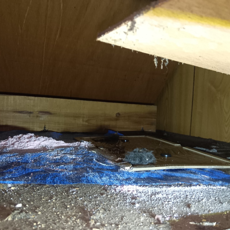 ネズミが殺鼠剤を食べたあと