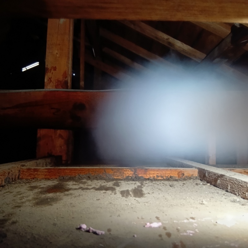 忌避スプレーを散布